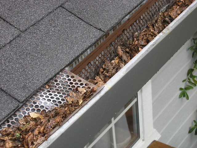 property manager maintenance